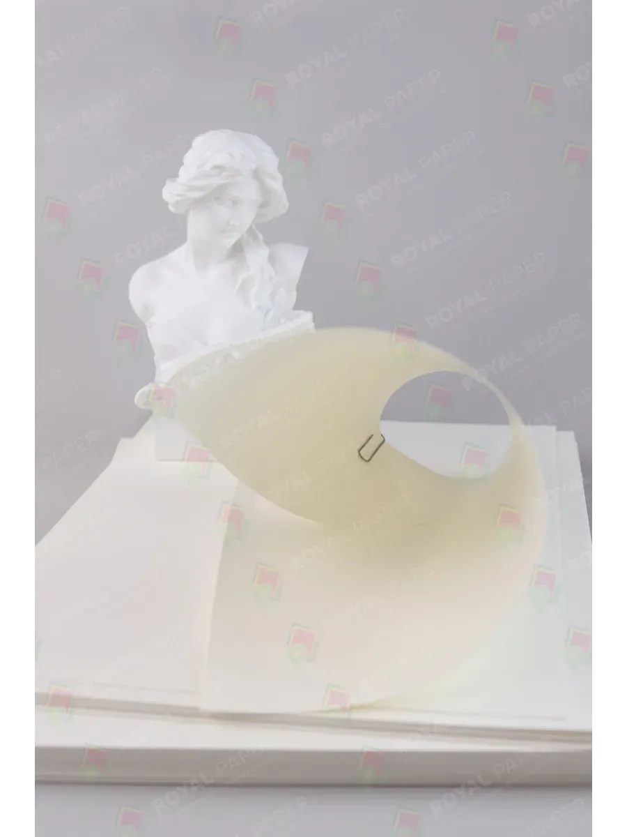 Бумага слоновая кость А4 цветная 150 гр.м2 пачка 100 листов - фото 13