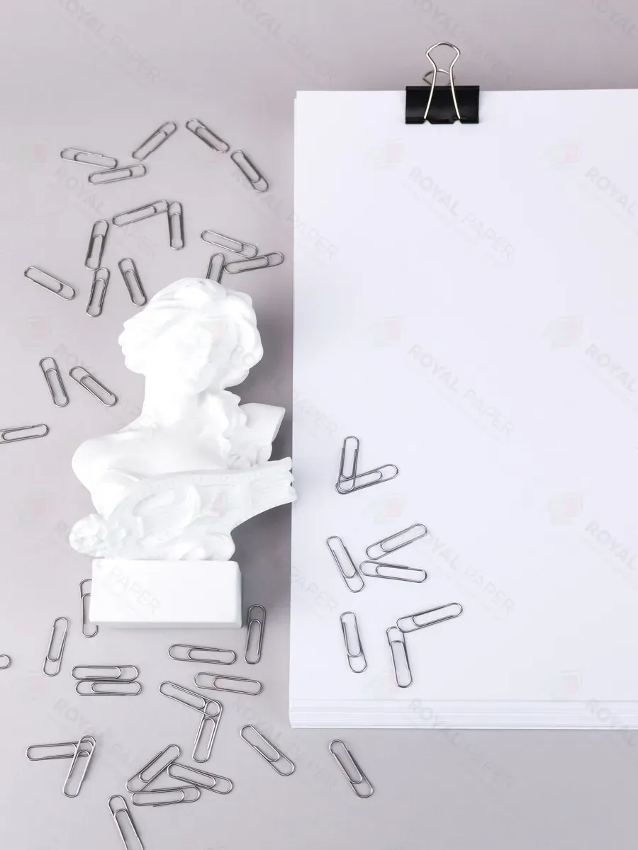 Плотная бумага для печати принтера А4 250 гр.м2 50 листов - фото 12