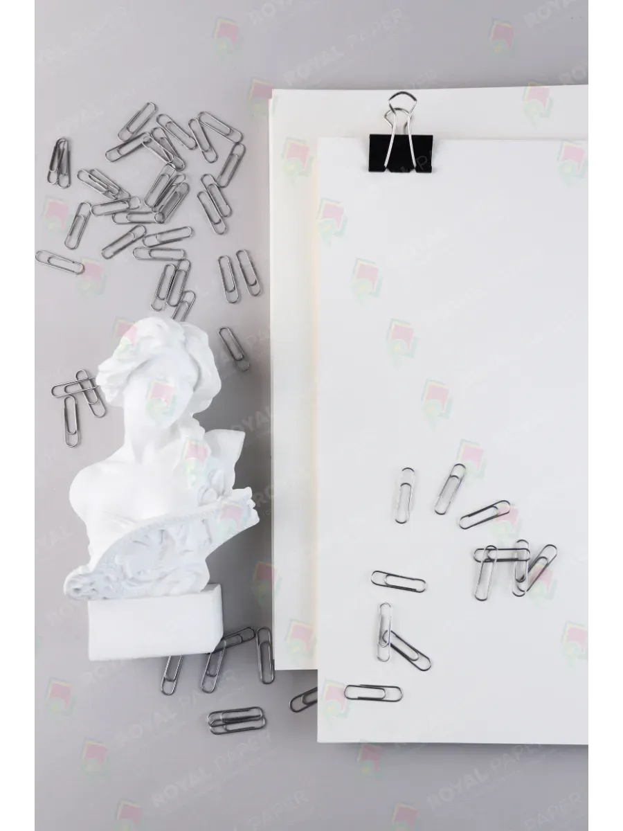 Бумага слоновая кость А4 цветная 80 гр.м2 пачка 250 листов - фото 12